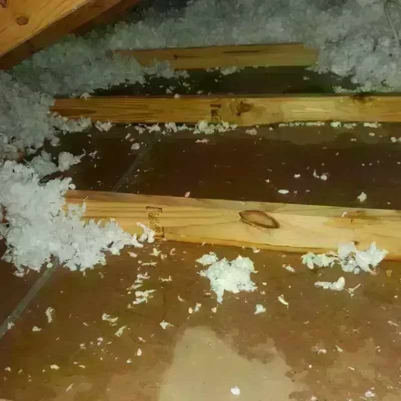 Attic Water Damage in Redding, CA