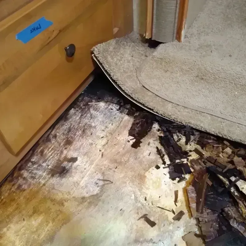 Wood Floor Water Damage in Redding, CA